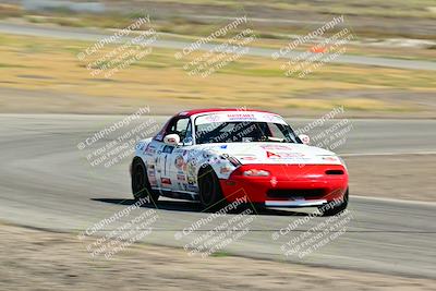media/May-24-2025-Turn8 Trackdays (Sat) [[034586b55d]]/1 Advanced 2/Session 2 (Cotton Corners-Grapevine)/